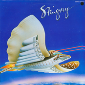Stingray