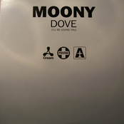 Dove cover