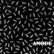Anode