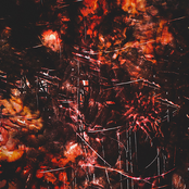 Unregimentation