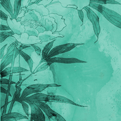 Meadow Platinum, Vol. 1