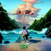 Incarnation