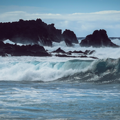 The Waves