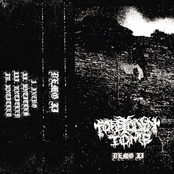 Demo II