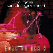 Sons of the P