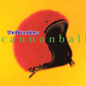 Cannonball cover