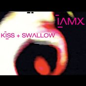 Kiss and Swallow by IAMX