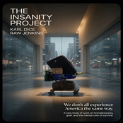 The Insanity Project