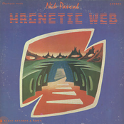 Magnetic Web