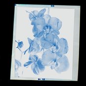 fields of forever - helios rework