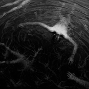 Inhabitant