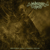GROTESQUE UNION/CHIMERIC VESTIGE