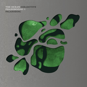 The Ocean – Phanerozoic I: Palaeozoic