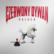 Czerwony dywan