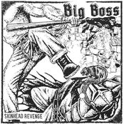Skinhead Revenge