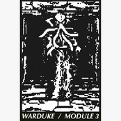 MODULE 3