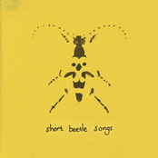 short beetle songs