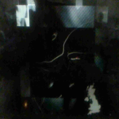 Fertile Ed1ts for the Shadow of Spring