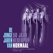 De Jonge Jaren van Normaal - 50 Jaar Nederpop