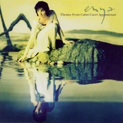 Themes from "Calmi Cuori Appassionati" cover
