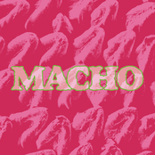 Macho
