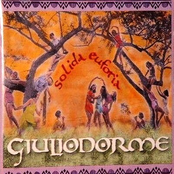 Solida Euforia
