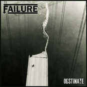 Obstinate