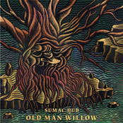 Old Man Willow