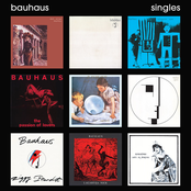 singles