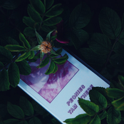 There / Там