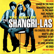 The Best of the Shangri-Las cover