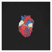 Heartslur II