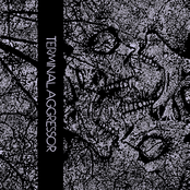 Terminal Aggressor