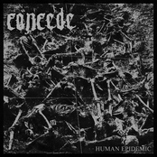 Human Epidemic