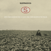 With Our Heads in the Clouds and Our Hearts in the Fields