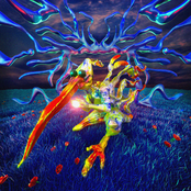 Meadowlark