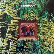 Bearfoot