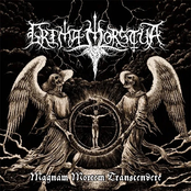 Magnam Mortem Transcendere