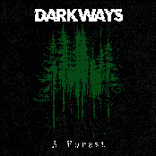 A Forest