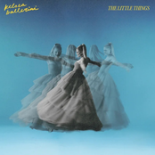 THE LITTLE THINGS cover