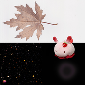 droplet