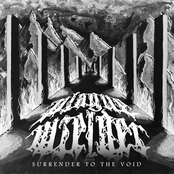 Surrender To The Void