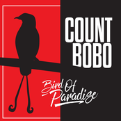 Bird of Paradise