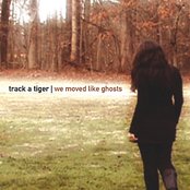 All These Accidents by Track A Tiger