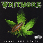 Smoke The Roach