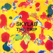 The Trip