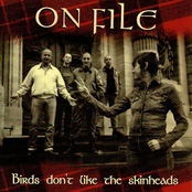 Birds Don't Like The Skinheads