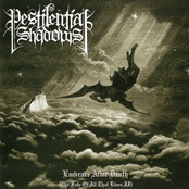Embrace After Death / Putrify