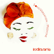 SongVersation: Medicine cover