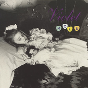 Violet cover